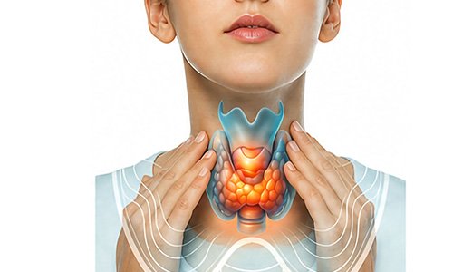 Thyroid Profile